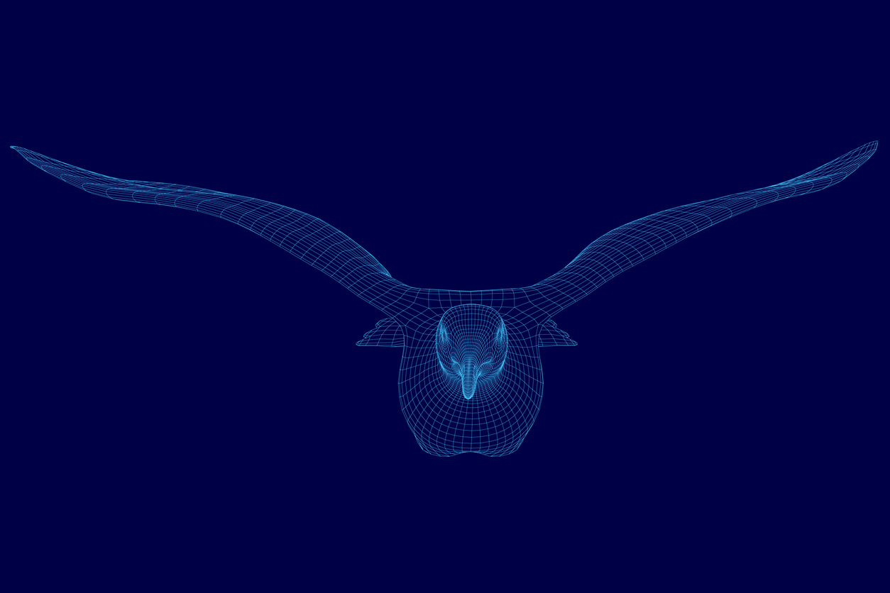 Entrepreneurial Digital Experts