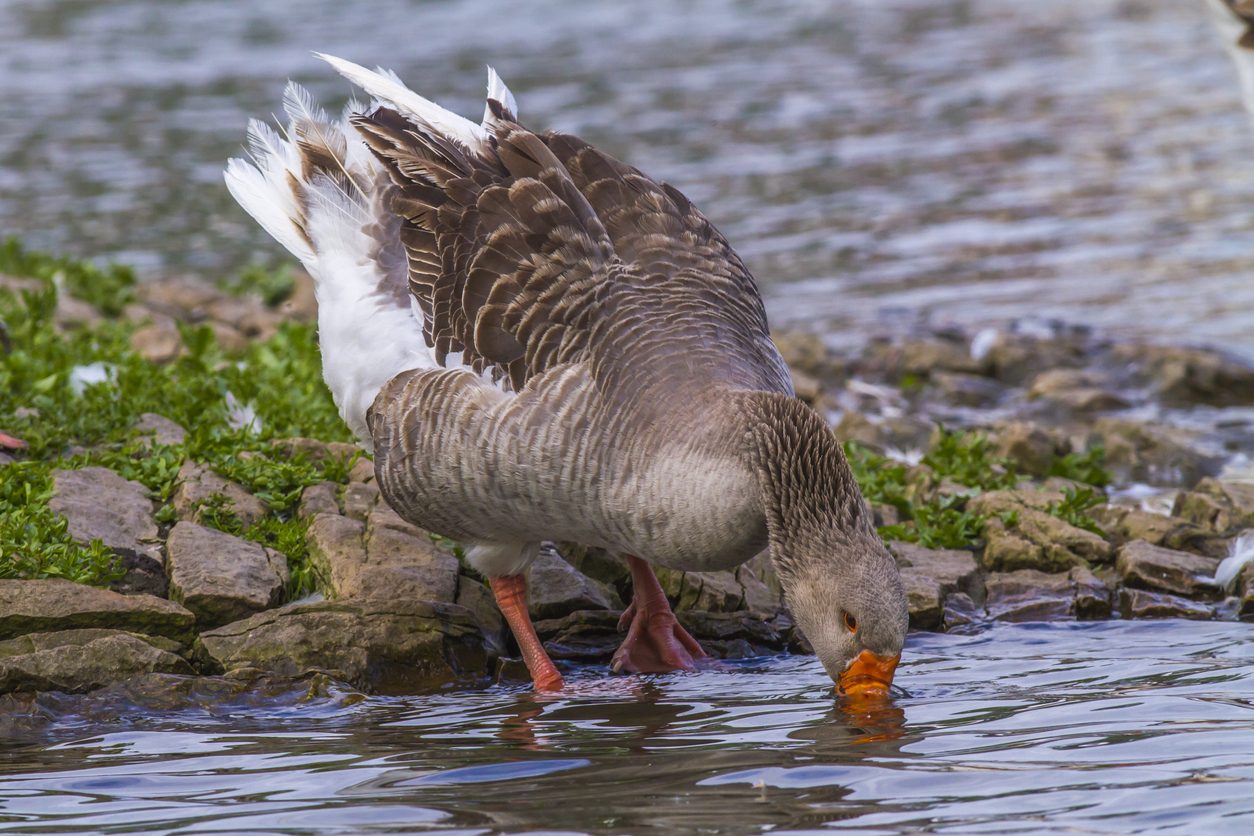 Drinking our own champagne 🍾